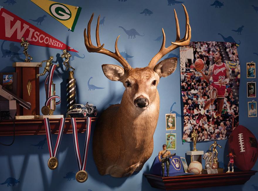Whitetail deer mount on the wall next to sports memorabilia. 
