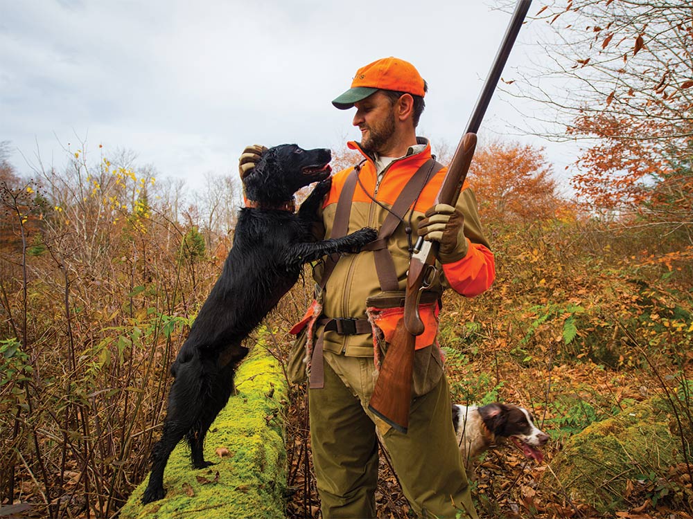 a hunter petting cocker spaniel hunting dog while hunting woodcock