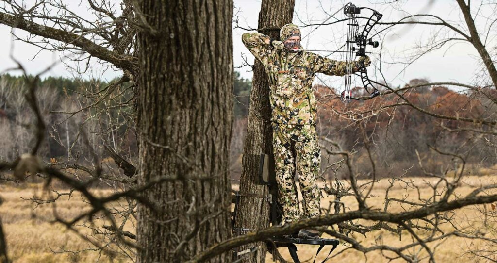 tony peterson whitetail hunting public tree stand