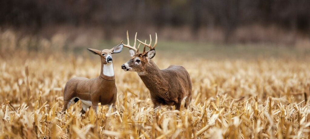Lone doe decoy for buck hunting