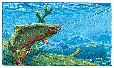 Hook more trout on sinking line