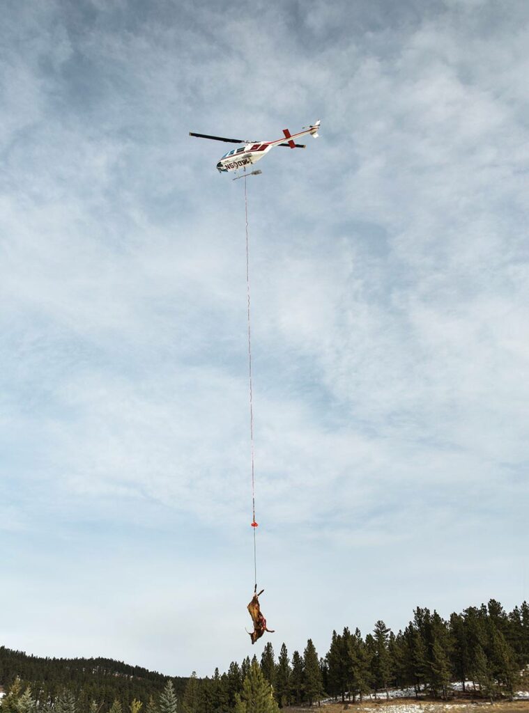 helicopter hauling meat from durfee hills