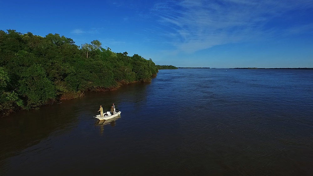 boat along the treeline of the parana river