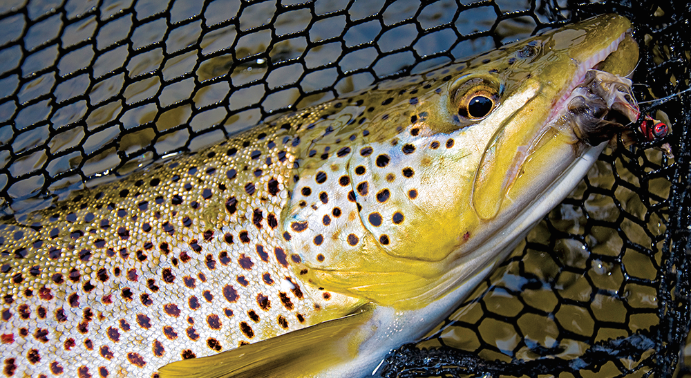 early-season streamers, streamer fishing, trout,