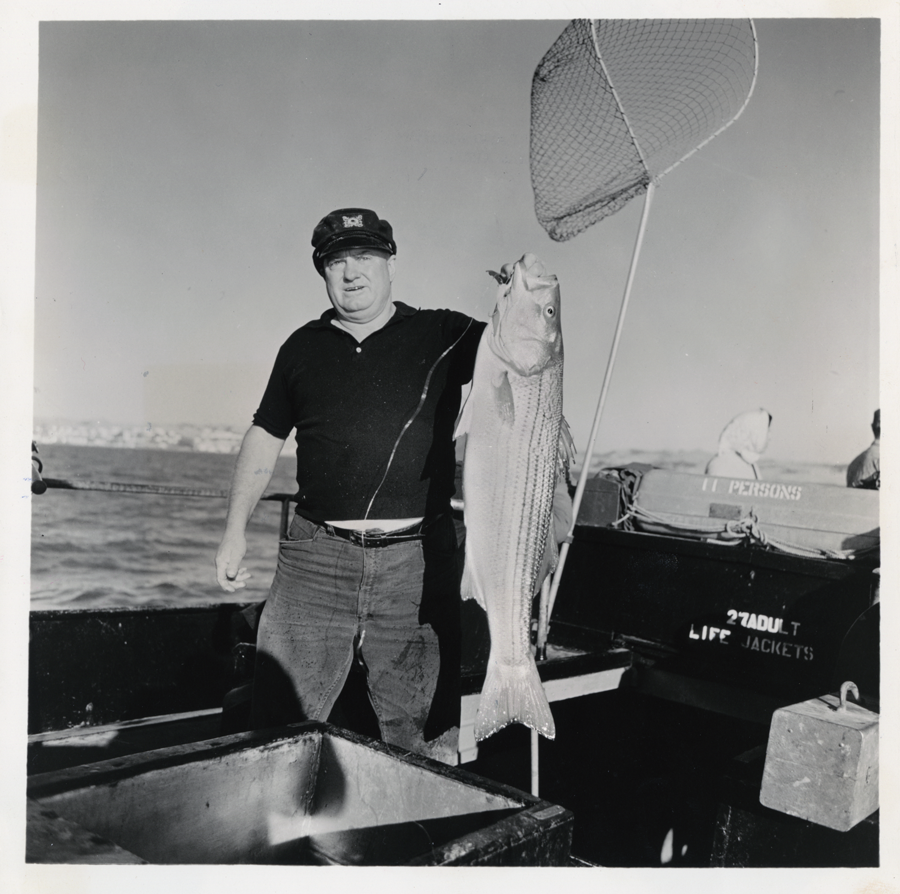 A black and white image of an angler holding up a striped bass.