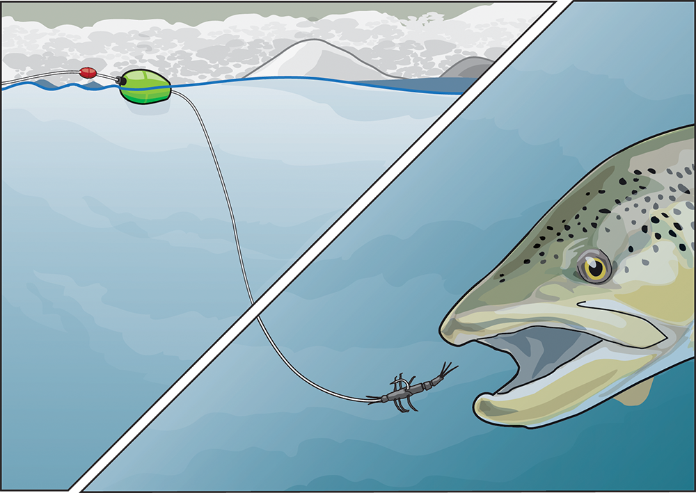 Trout diving for soft bait illustration