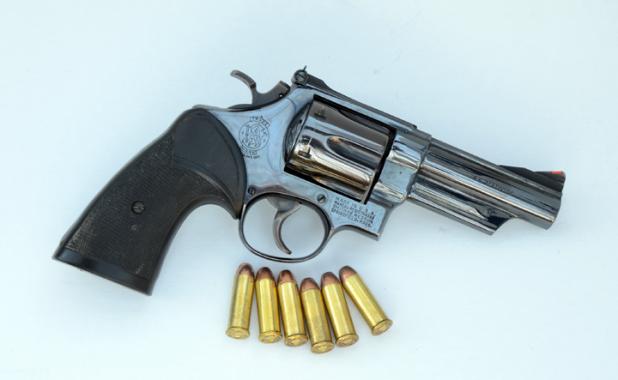 Smith & Wesson Model 29/629