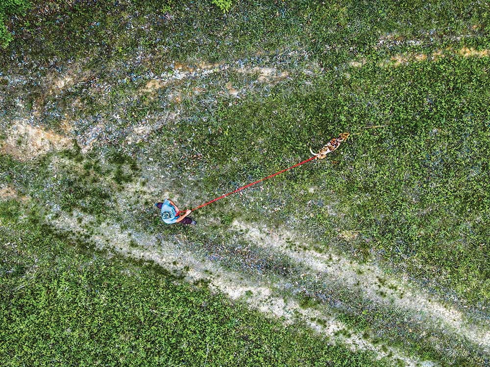 aerial view of hunter with a tracking dog