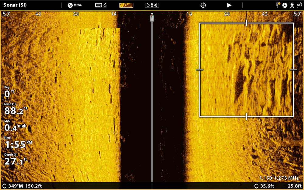 blurry snook image sonar scan
