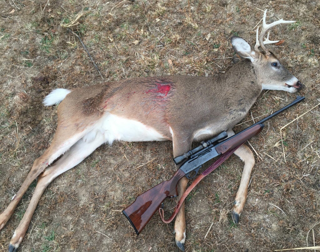 Remington 7400, deer rifle