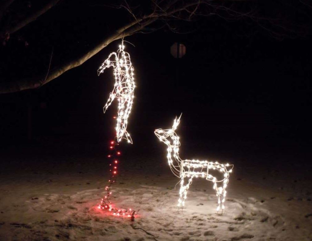 httpswww.fieldandstream.comsitesfieldandstream.comfilesimport2015christmas-hanging-deer.jpg