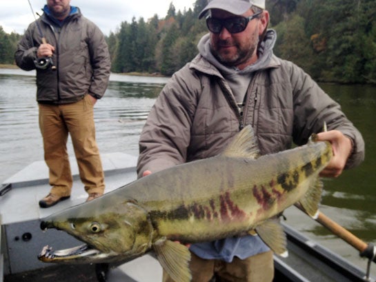 An angler holding up a large Chum Salmon on a boat.