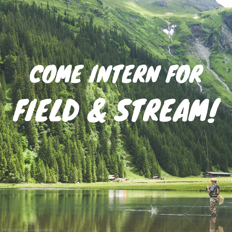 field & stream intern