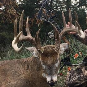 giant non-typical buck rack