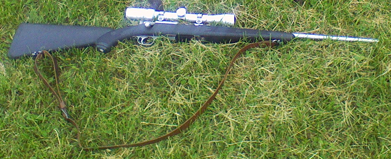 An ideal squirrel hunting rifle setup.