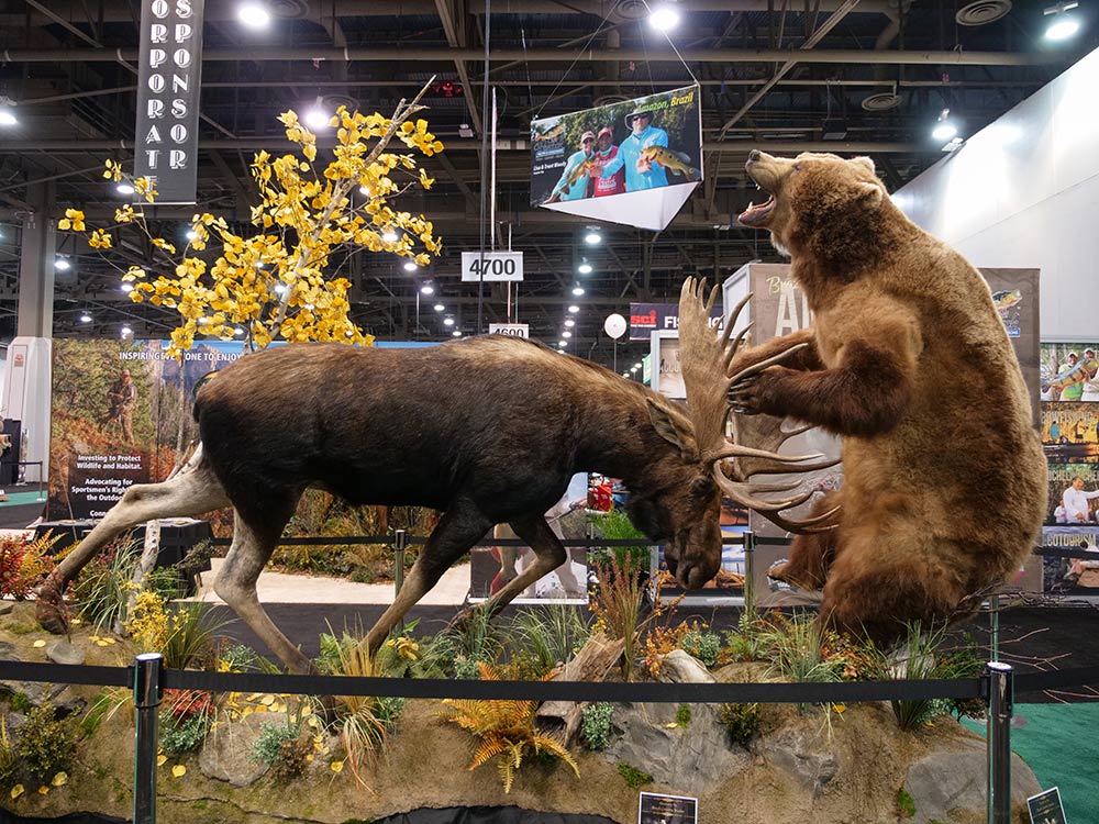 sci convention moose bear taxidermy