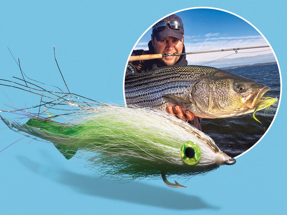 Striped bass fly fishing dredge