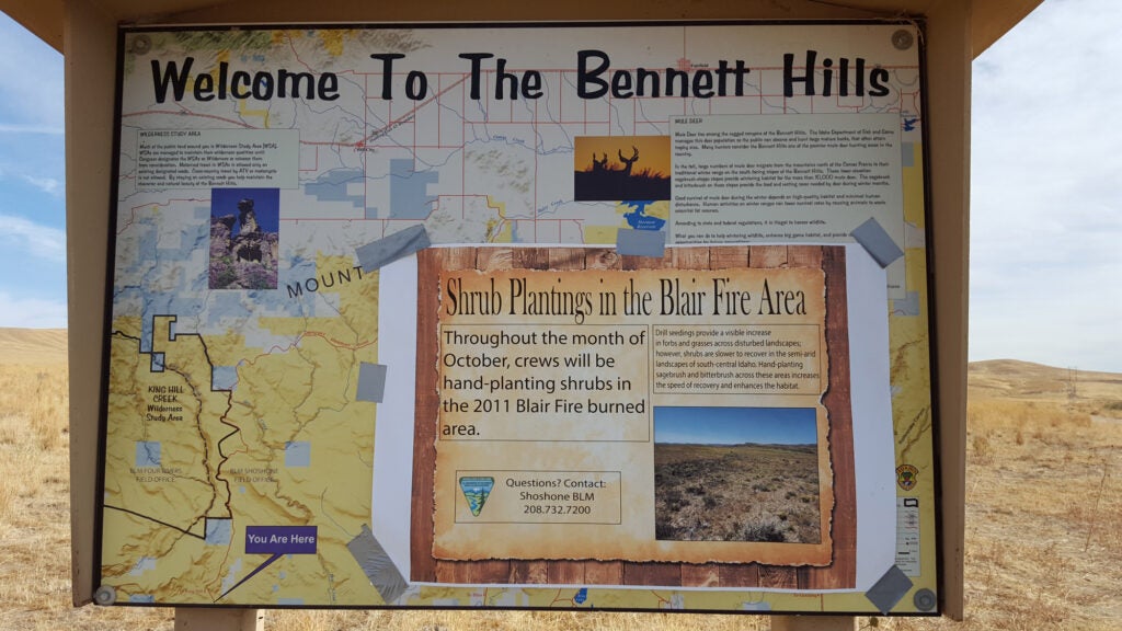 Bennett Hills region