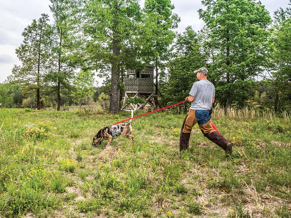 hunter with a tracking dog on the lead