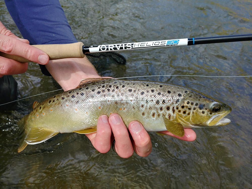 Trout Fly Rod Buying Guide $750+