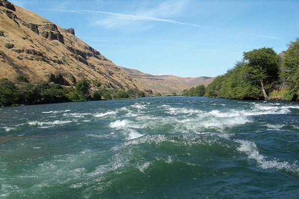 A landscape photo of the Deschutes River rapids. Water crests over itself in a rushing river.