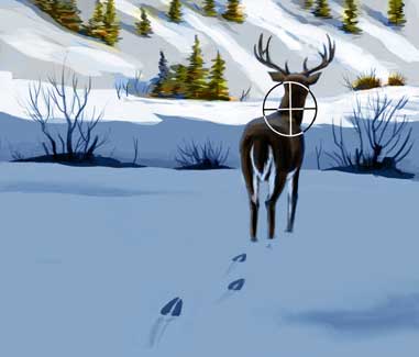 Ten Toughest Shots on Deer