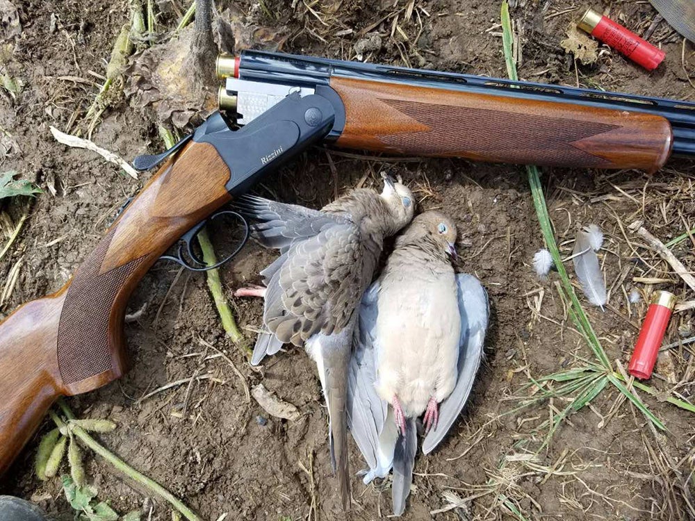 rizzini gun and dead doves