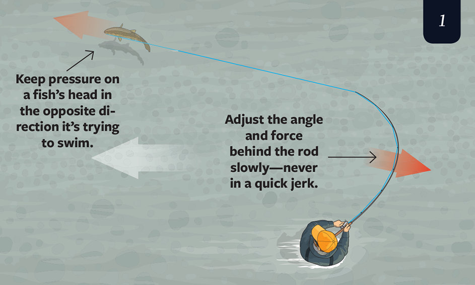 landing a trout, how to land a trout,