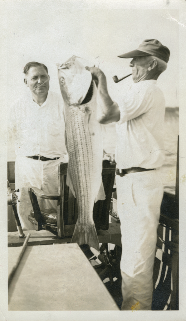 A black and white image of anglers holding up a large cow stripe bass.