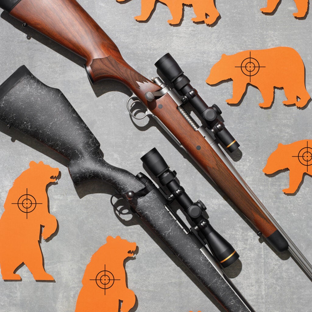 Best Bear Rifles