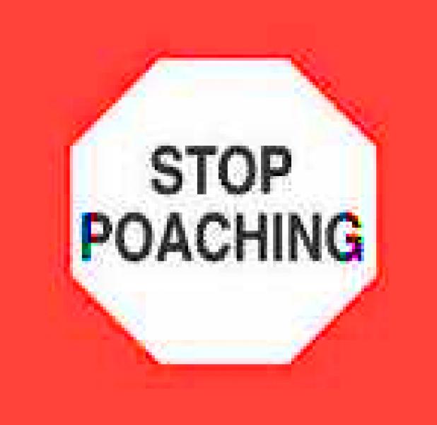 httpswww.fieldandstream.comsitesfieldandstream.comfilesimport2014importBlogPostembedstop-poaching.jpg