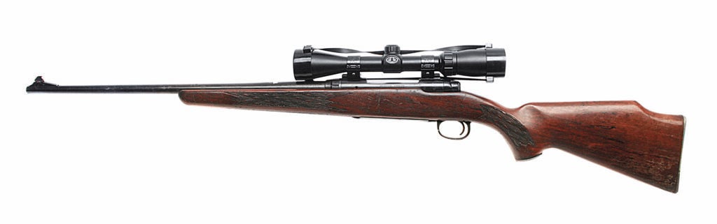 The Savage Model 110 on a white background.