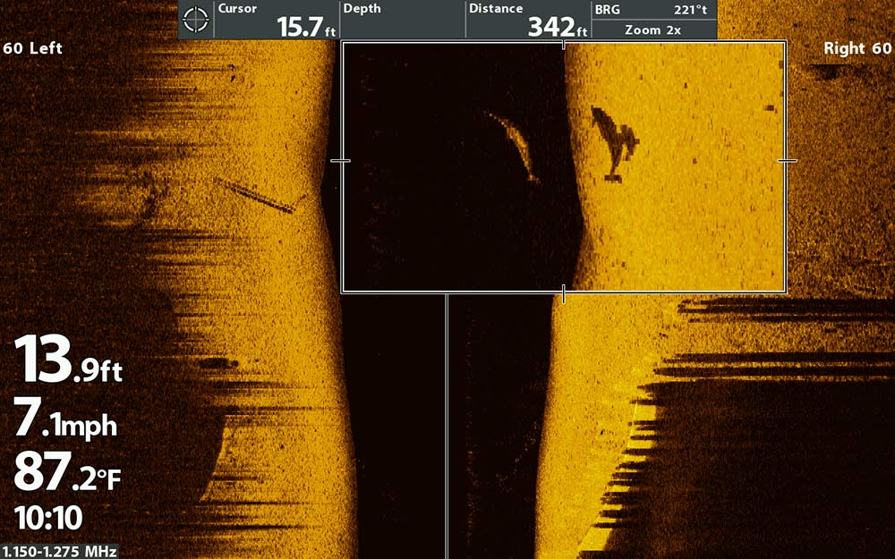 dolphin and calf on sonar scan