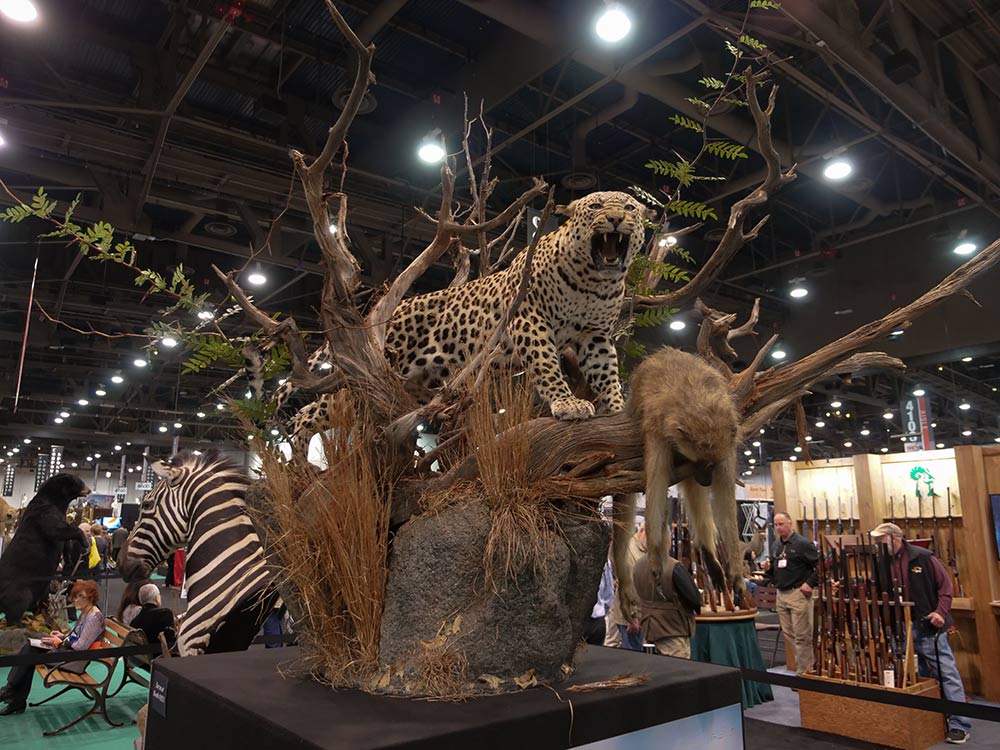 sci convention leopard baboon taxidermy