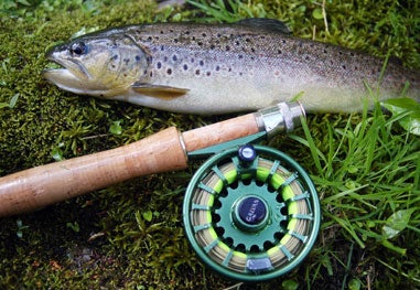 trout next to a fishing reel