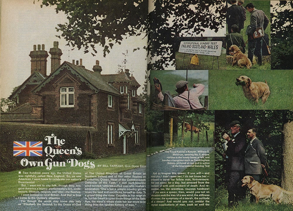 The interior spread of Field and Streams coverage of Queen Elizabeth and her gun dogs