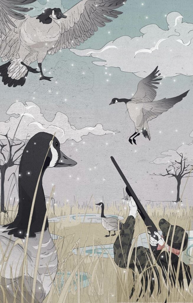 Canada geese hunting illustration