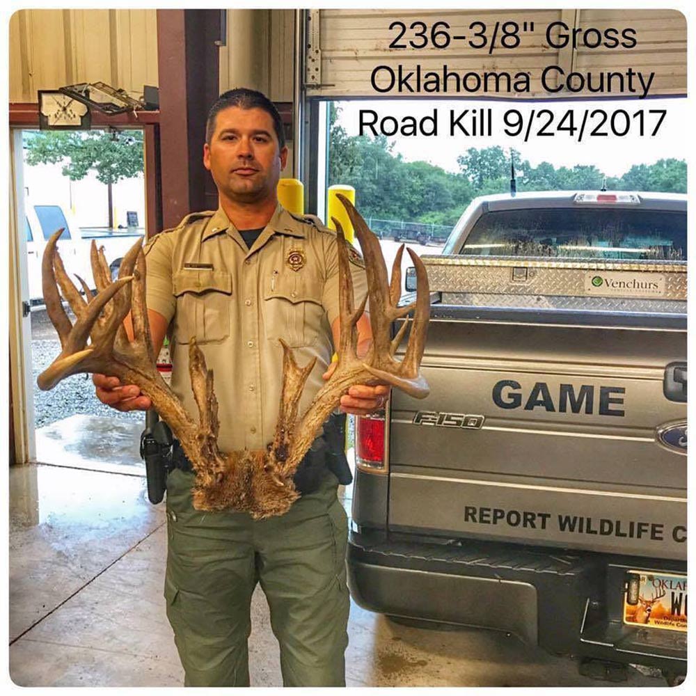 Best Bucks of September 2017 Oklahoma Roadkill