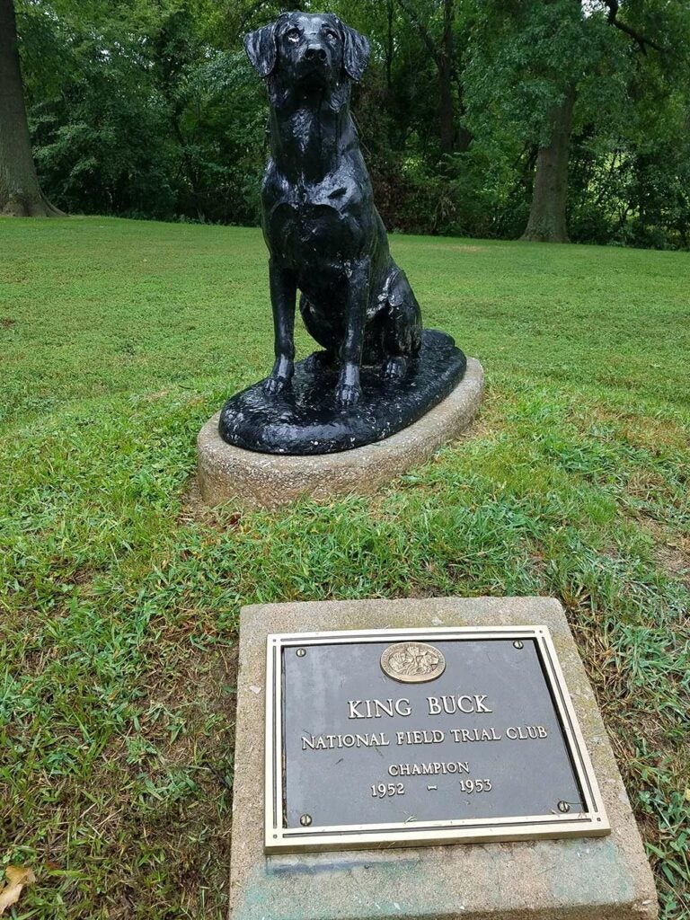 statue of a hunting dog named kng buck