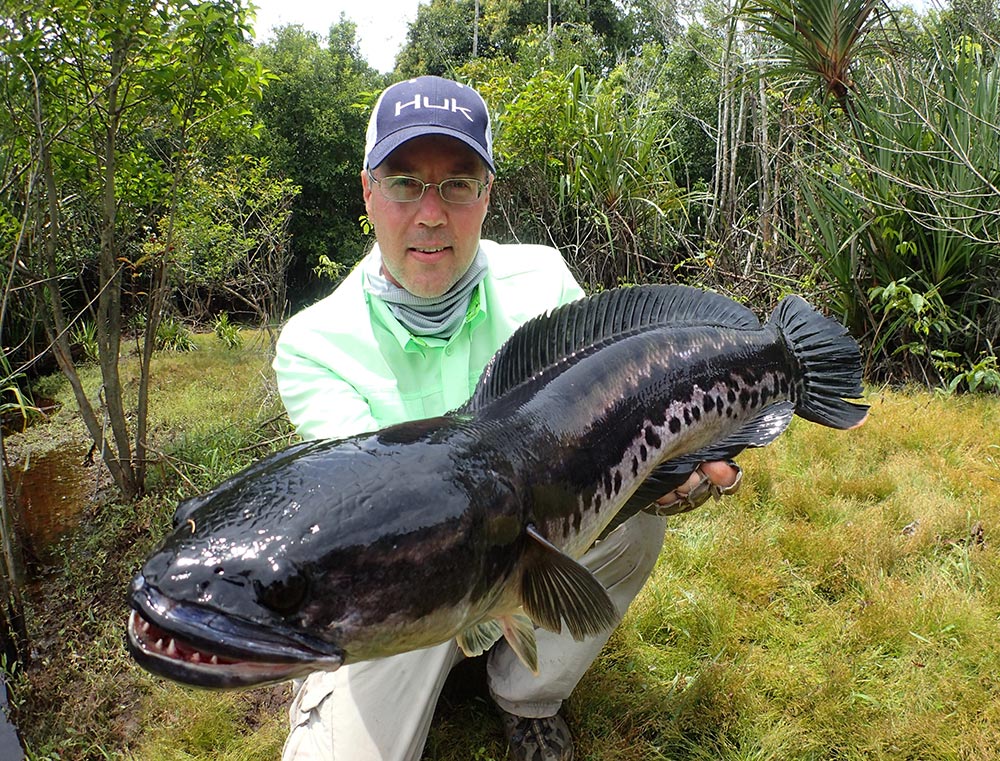 An angler holds a giant snakehead caught in Southeast Asia.