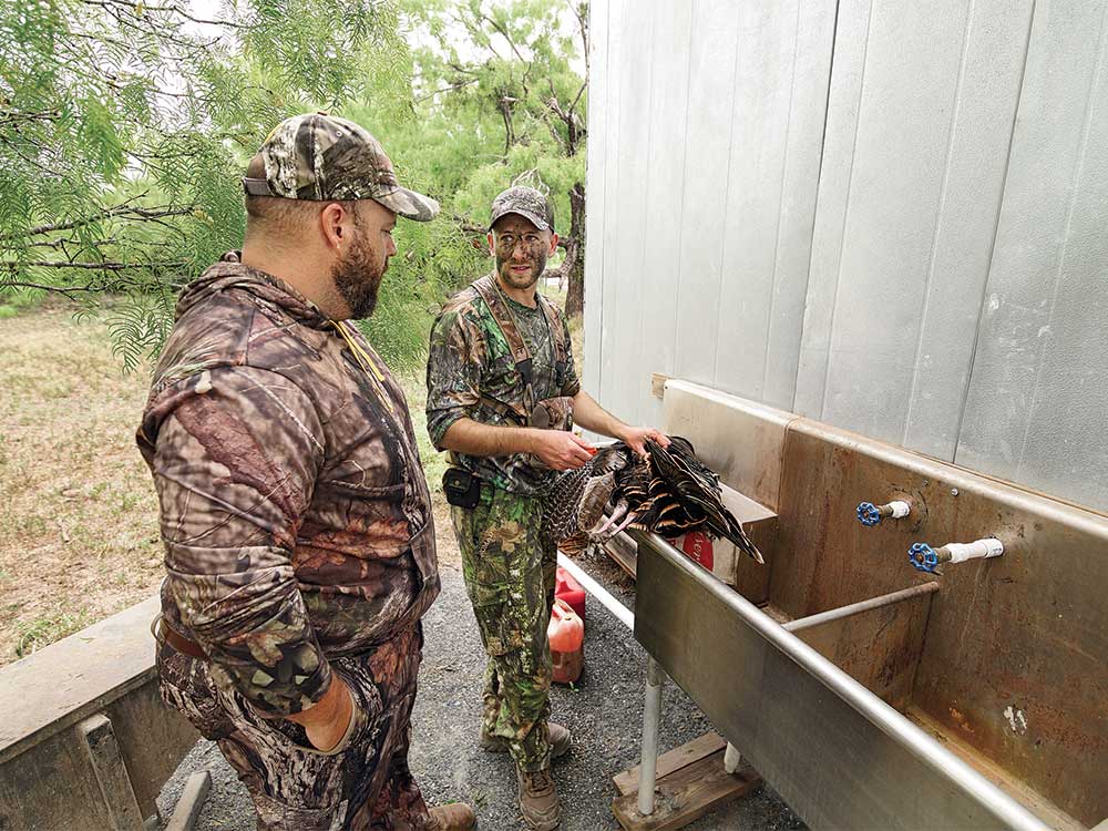 two hunters cleaning and defeathering a turkey