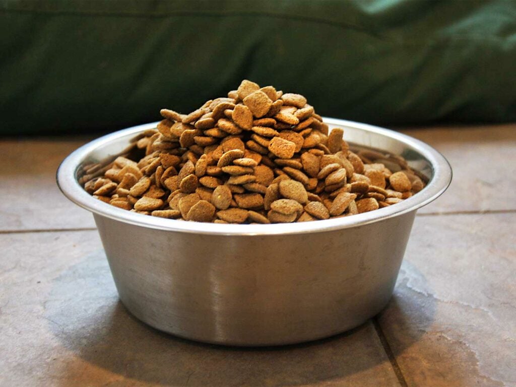 a bowl full of dog food