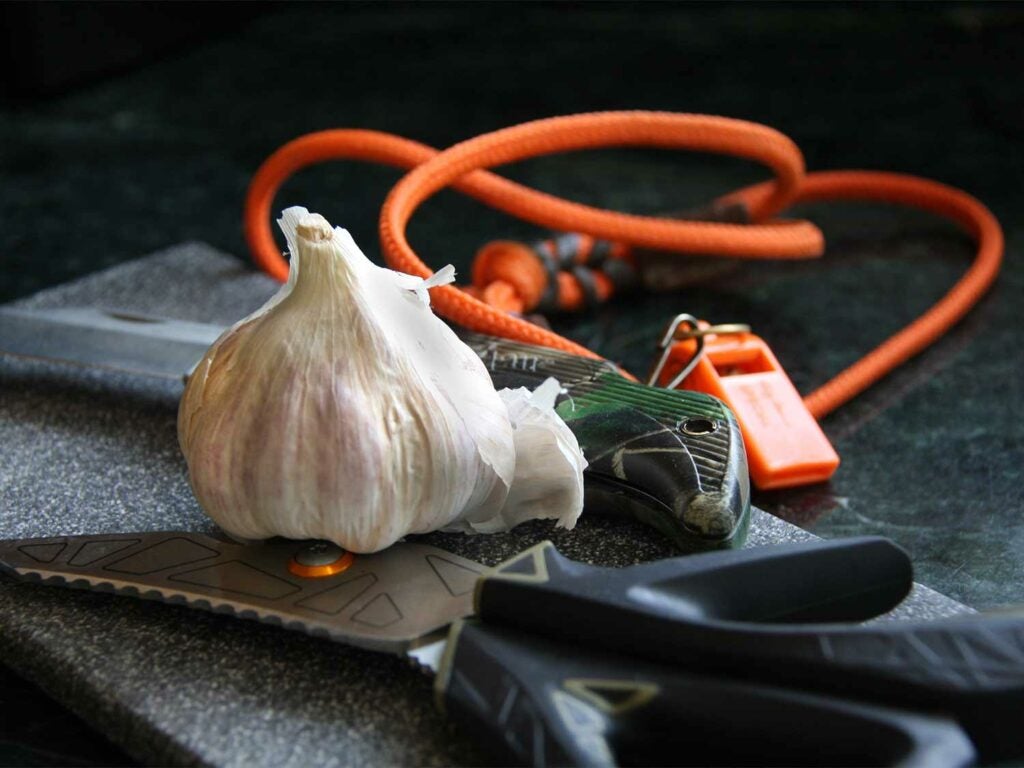 garlic bulb in hunting gear