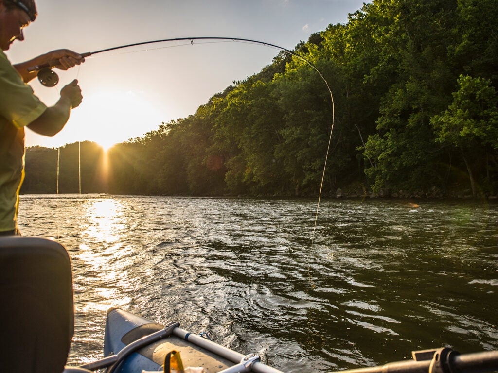a flyfisherman reeling in a smallmouth bass in the sunset