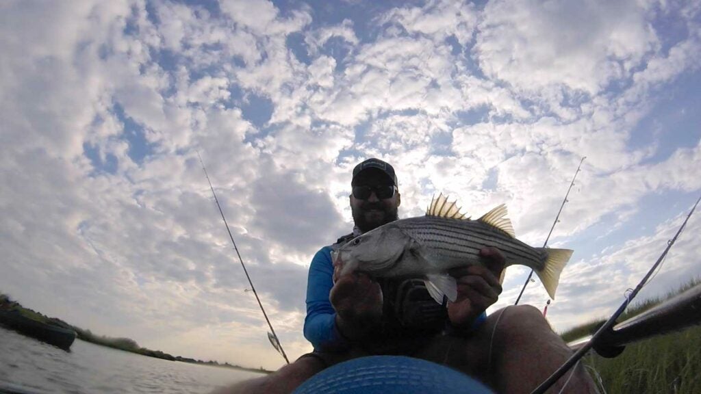 Field & Stream SEO Editor Ben Duchesney holds up a striped bass caught in the saltwater marsh.