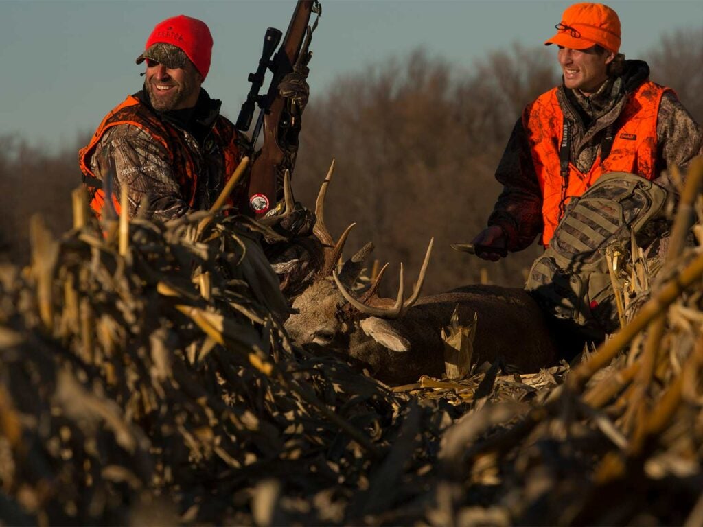 two hunters kneeling over a deer in a corn field