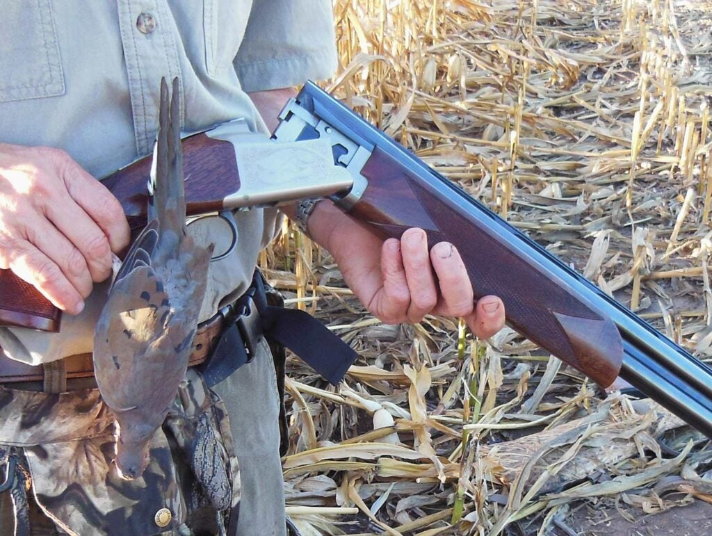 Browning 725 dove hunting