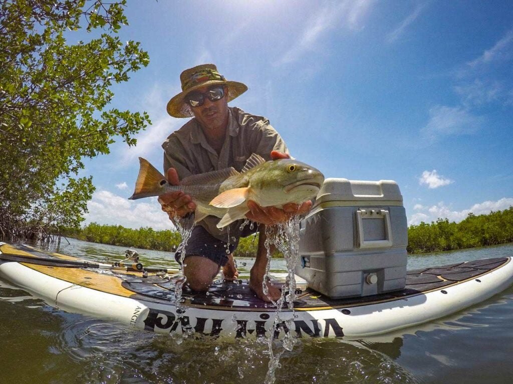 A SUP angler lifts a redfish out of the water for the camera.