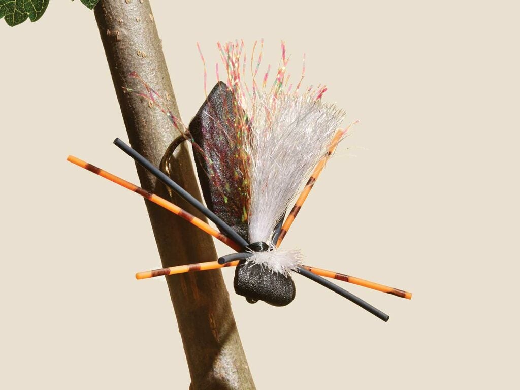 fly fishing lure spider