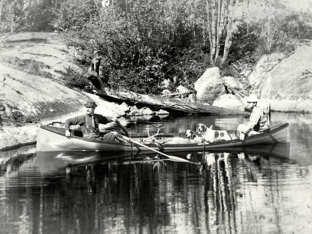 Charles Oblenis and a guide in a guide boat with dogs and deer, circa 1889.